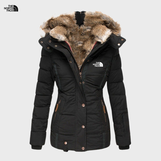 Elegance and Stylish Jacket