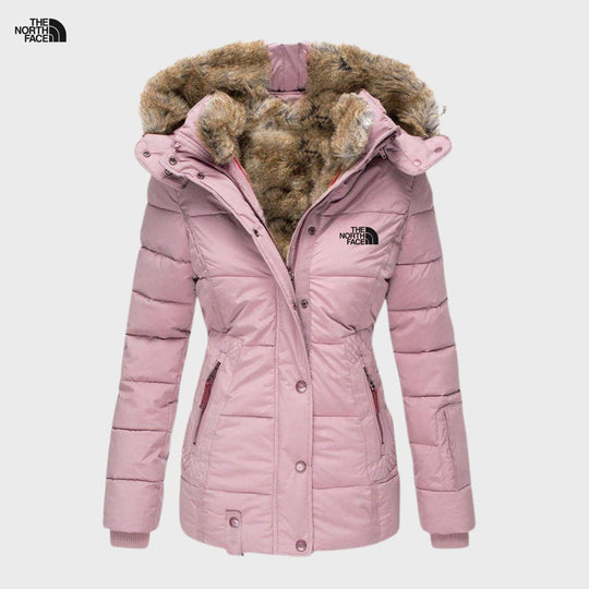 Elegance and Stylish Jacket